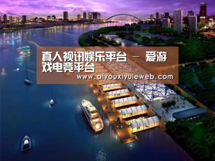 案例展示八