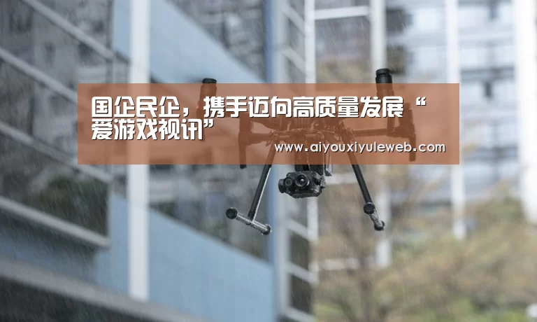 国企民企,携手迈向高质量发展“爱游戏视讯”(图1) 爱游戏百家乐