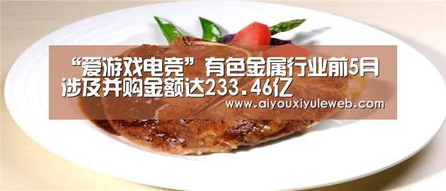 “爱游戏电竞”有色金属行业前5月涉及并购金额达233.46亿(图3) 爱游戏百家乐